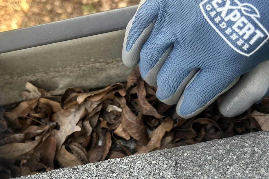 Avon Gutter Cleaning